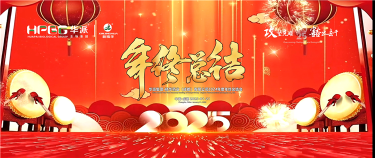 攻坚克难&middot;豁出去干：华派集团&middot;龙8头号玩家药业召开2024年度年终总结会