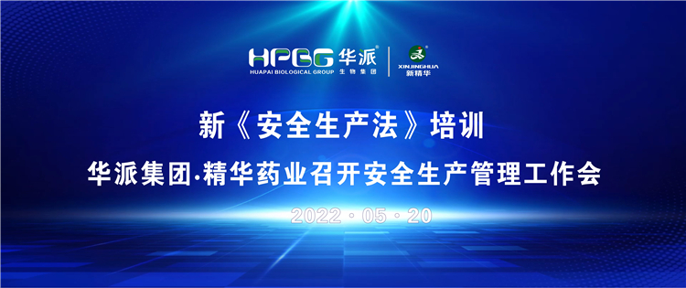 新《清静生产法》培训 | 华派集团&bull;龙8头号玩家药业召开清静生产治理事情会