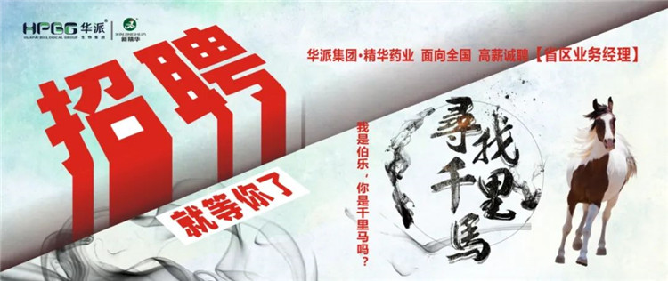 寻找千里马 | 华派集团&bull;龙8头号玩家药业面 向天下高薪诚聘【省区营业司理】 我是伯乐，，，，，，你是千里马吗？？？？？？