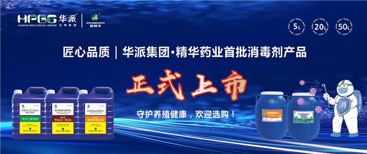 匠心品质｜华派集团&middot;龙8头号玩家药业首批消毒剂产品正式上市，，，守护养殖康健，，，接待选购！