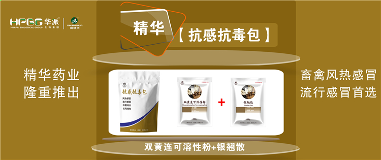 科普：几种常见畜禽伤风与盛行性伤风的防控 |【抗感抗毒包】抗菌消炎、解热排毒、抗毒增免，，，，，，畜禽风热伤风、盛行伤风首选!