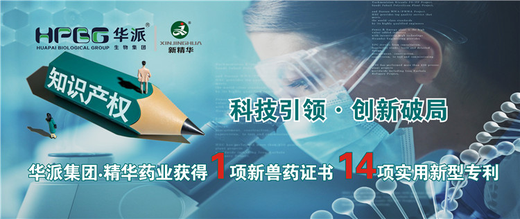 科技引领&bull;立异破局 | 华派集团&bull;龙8头号玩家药业获得1项新兽药证书 14项适用新型专利