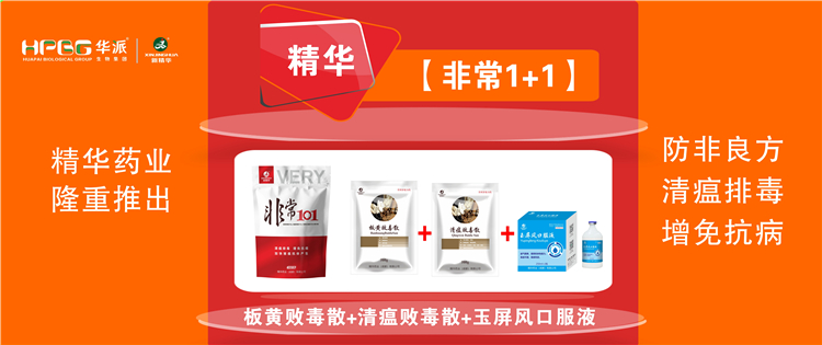 科普：非洲猪瘟防控步伐 |【很是1+1】防非良方, 清瘟排毒、增免抗病，，，，，，加速猪瘟抗体爆发!